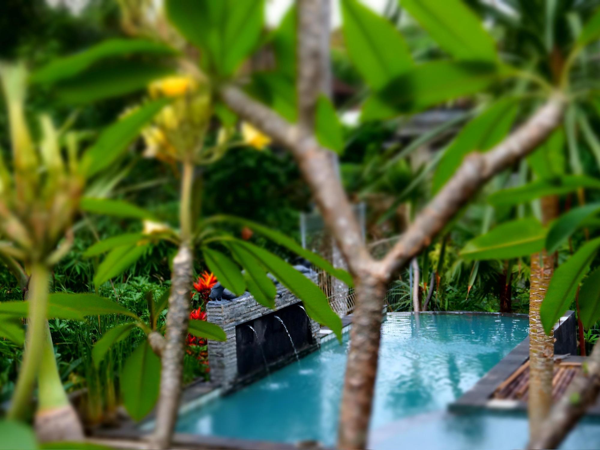 Affittacamere Desak Putu Putra Hidden Ubud