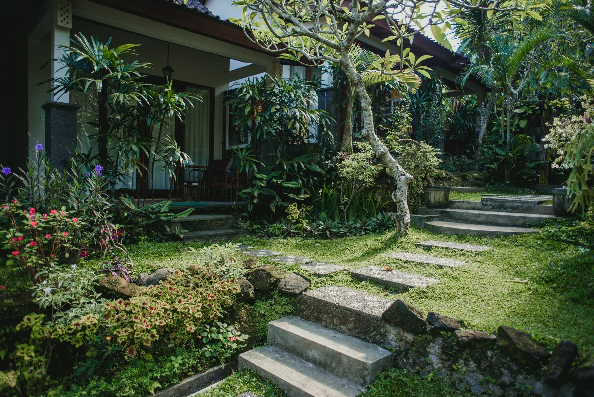 Desak Putu Putra Hidden Affittacamere Ubud